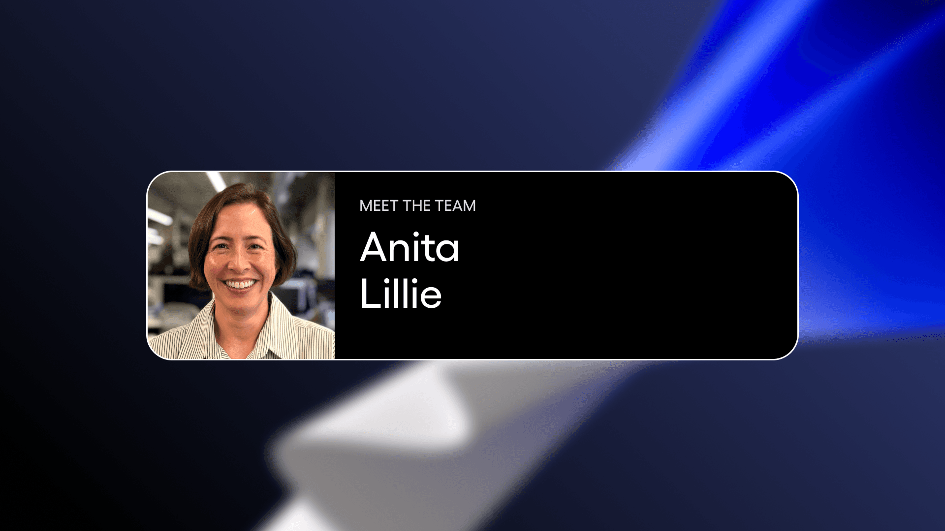Meet the Team: Anita Lillie