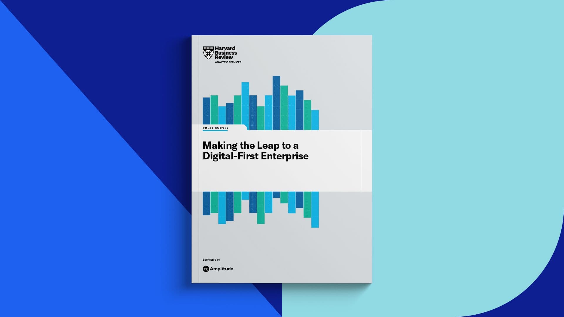Front cover of Amplitude Harvard Business Review report